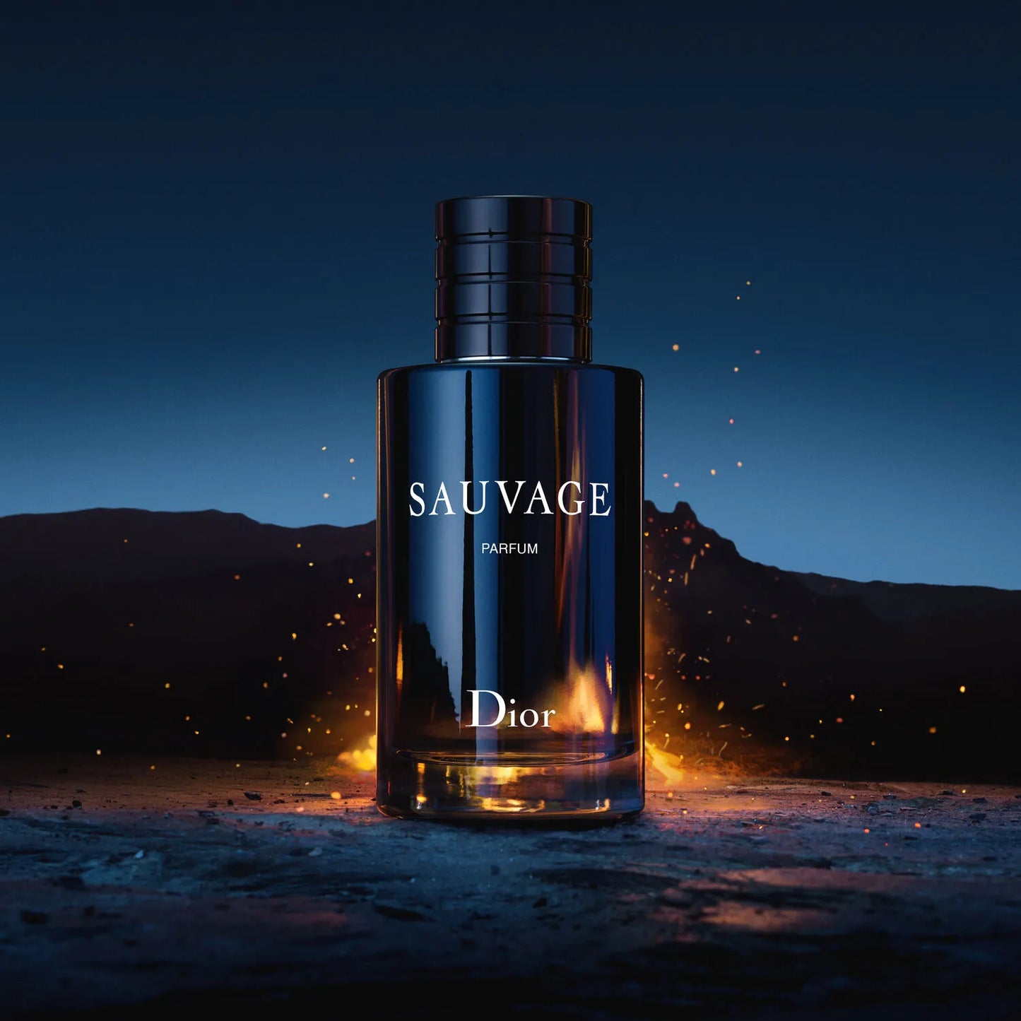 🌟 Combo Navideño 2x1 Perfumes 🌟 [ONE MILLION 💎 + SAUVAGE DIOR 🐺+ PERFUMERO ]