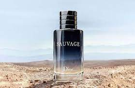 🌟 Promoción 🌟 gafas rayban tipo piloto 🕶️ + reloj rolex submarine  ⌚ + perfume sauvage dior 🐾